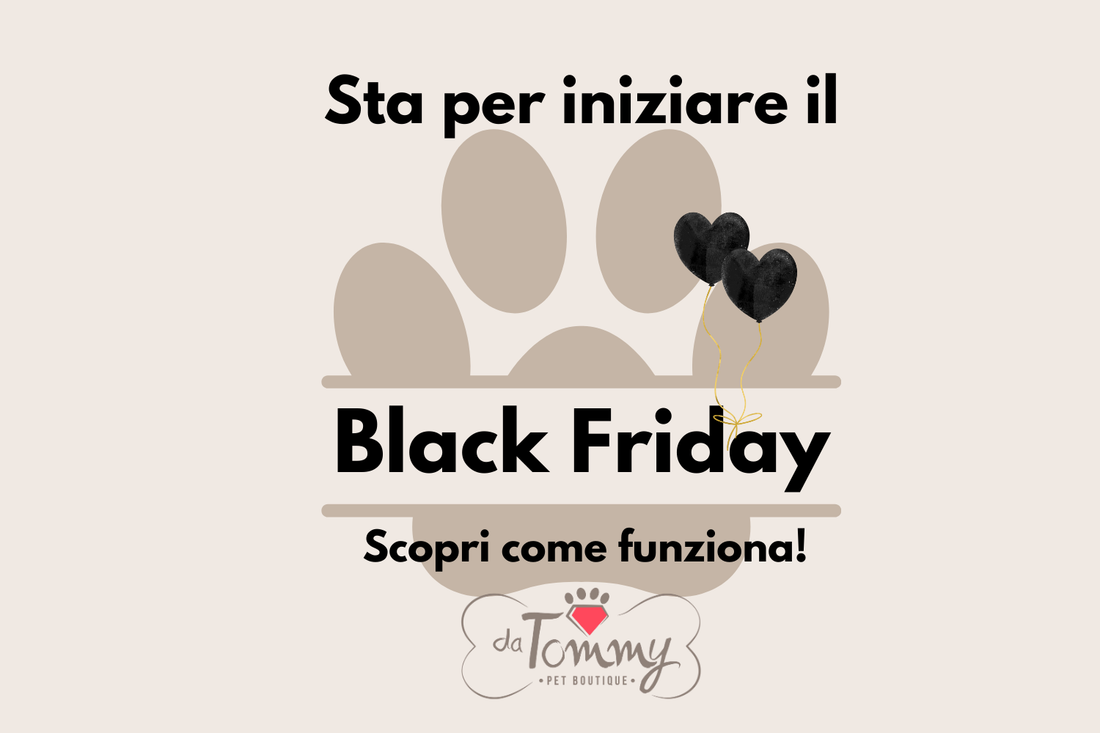 🖤 Black Friday 2025 Da Tommy Pet Boutique: tutto quello che devi sapere