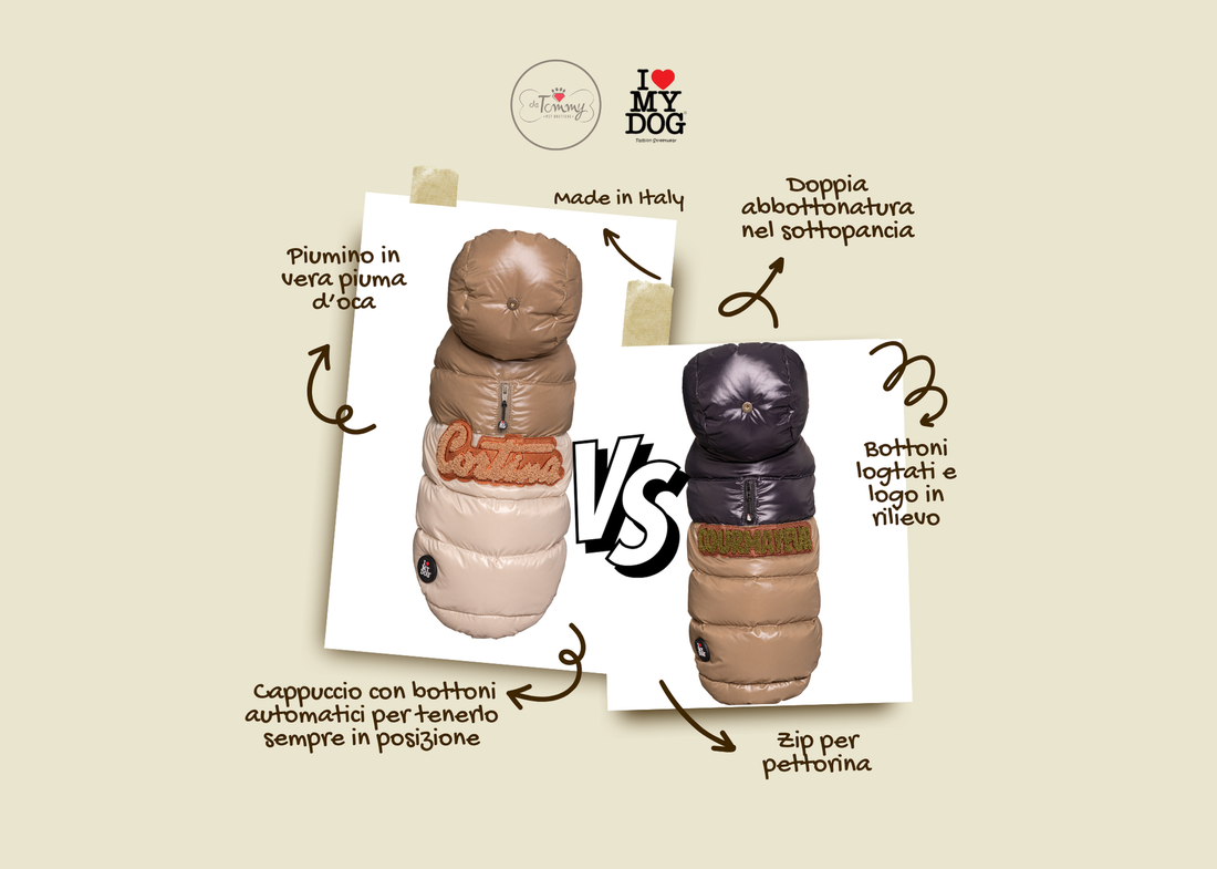 Courmayeur o Cortina? Scopri il piumino I Love My Dog perfetto per il tuo cane 🐾❄️