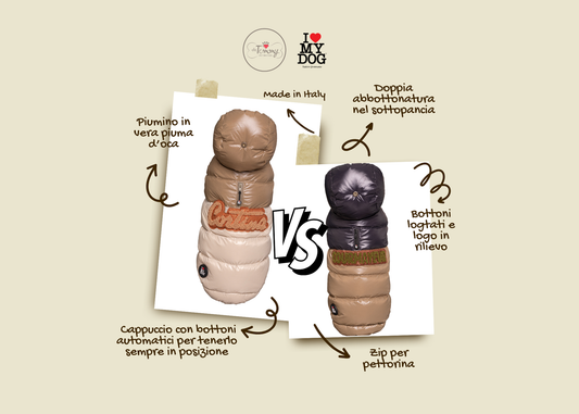 Courmayeur o Cortina? Scopri il piumino I Love My Dog perfetto per il tuo cane 🐾❄️