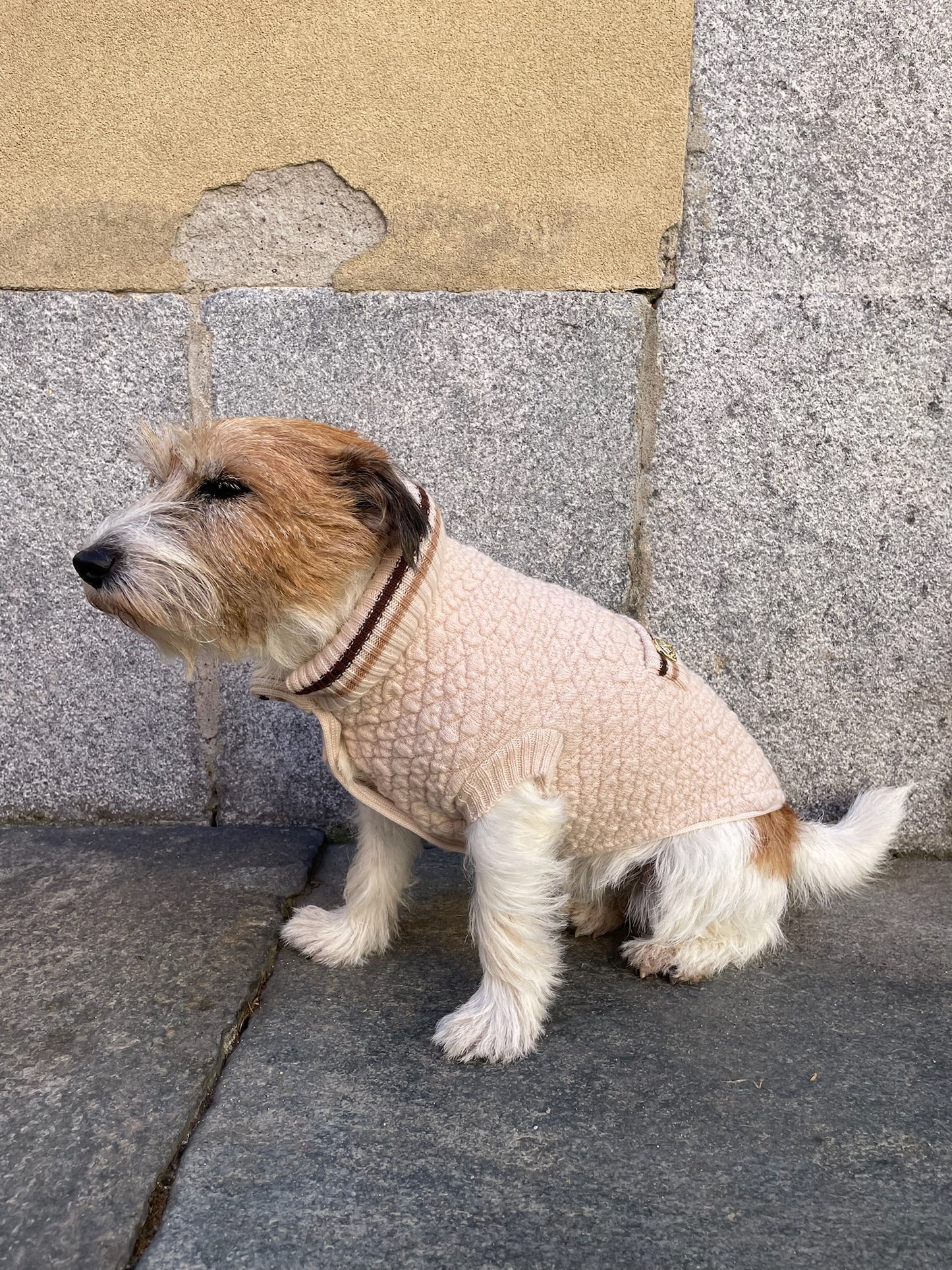 Cappotto "Gìgì Goffrato" - My Dog