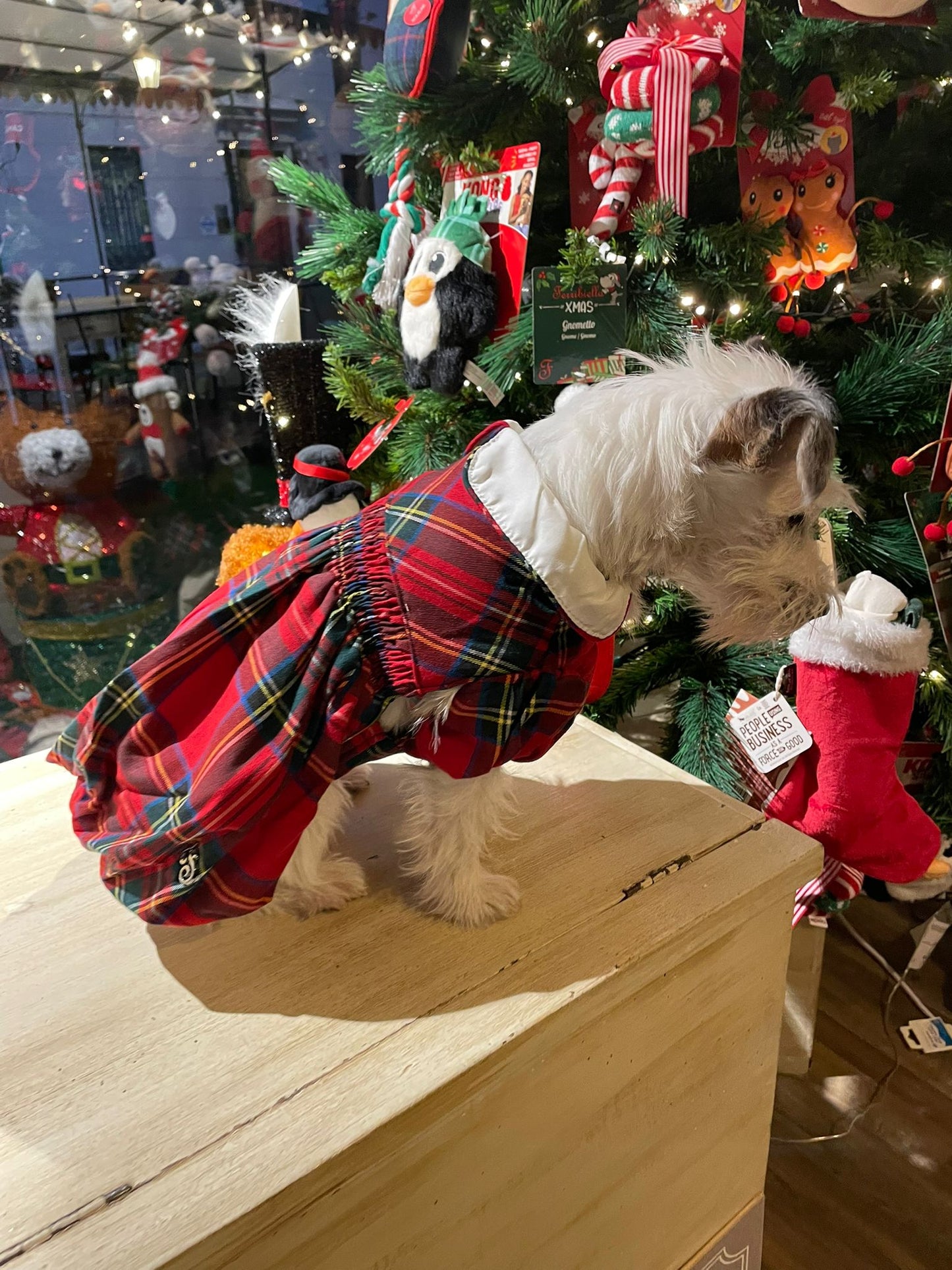 Cappotto ''Miss Charlotte'' - Ferribiella