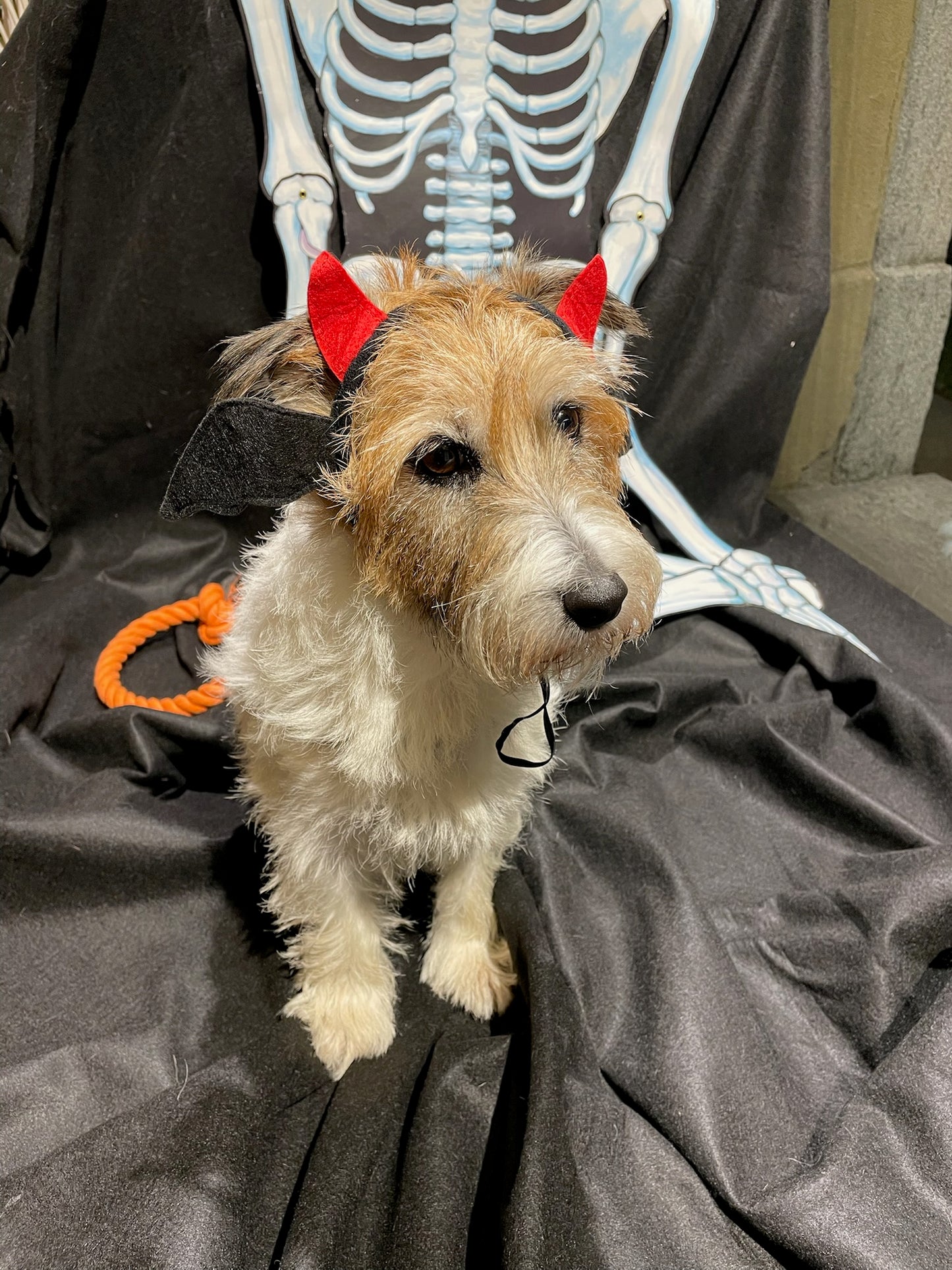 Cerchietto Diavoletto - Ferribiella