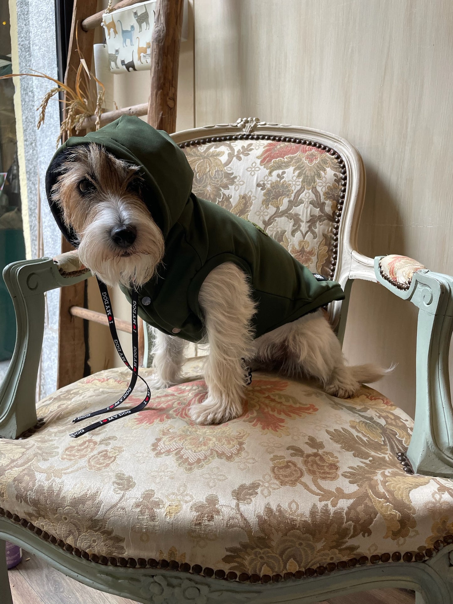 Felpa “Winter Vibes” - I Love My Dog