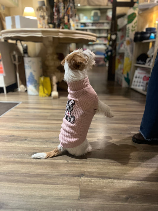 Maglioncino Granariso "Teddy" - My Dog