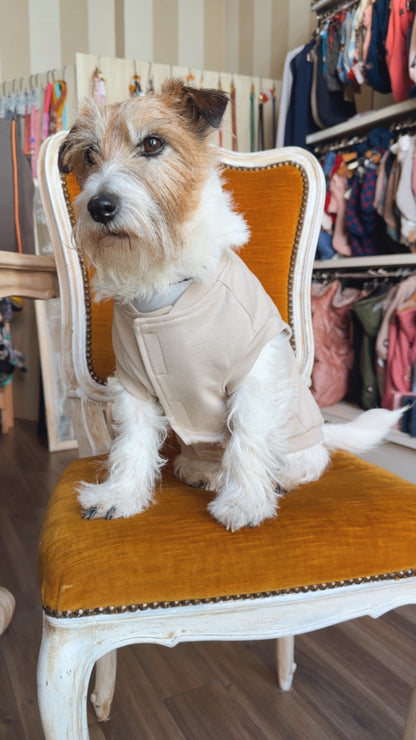 Felpa felpa coordinata e su misura - Da Tommy Pet Boutique & Violante