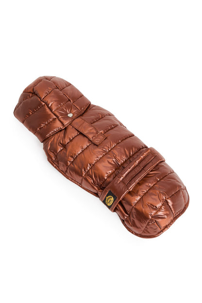 Piumino per Bassotti FW26 - Fashion Dog