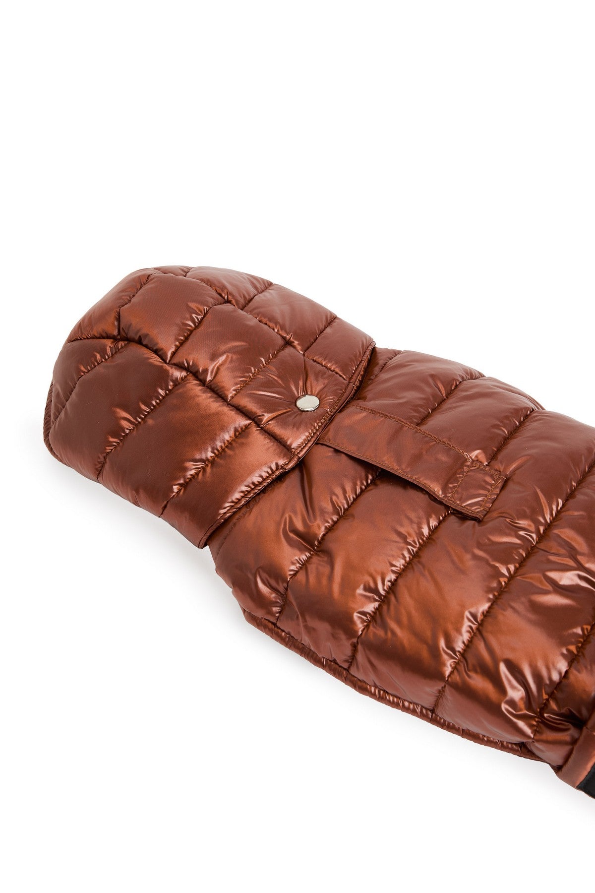 Piumino per Bassotti FW26 - Fashion Dog
