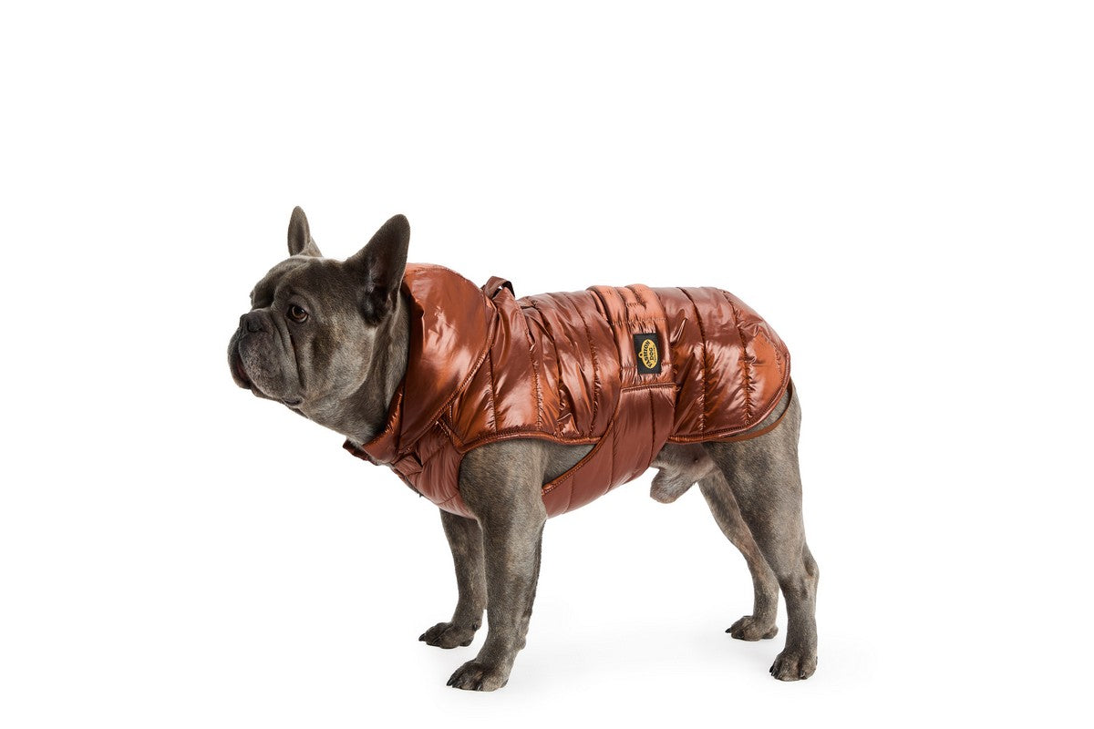 Piumino per Bulldog FW26 - Fashion Dog