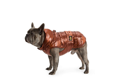 Piumino per Bulldog FW26 - Fashion Dog