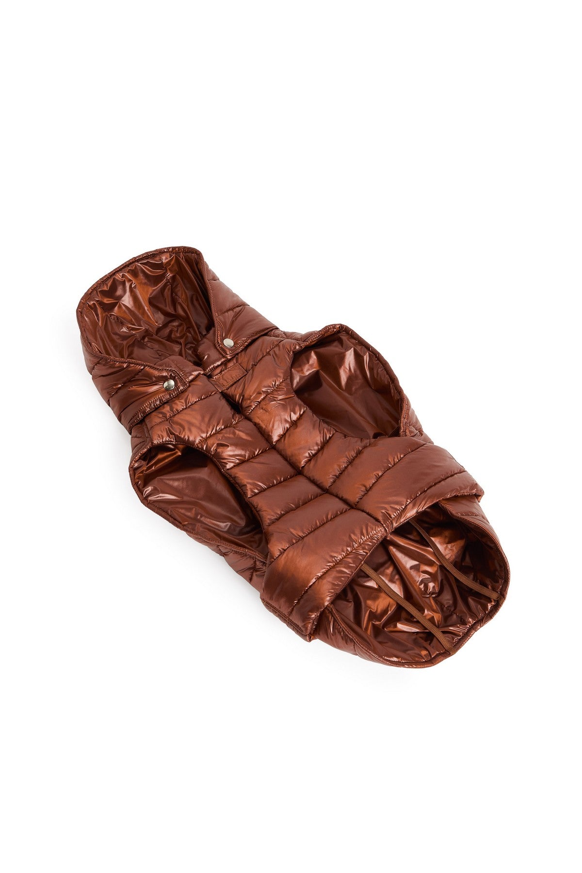Piumino per Bulldog FW26 - Fashion Dog
