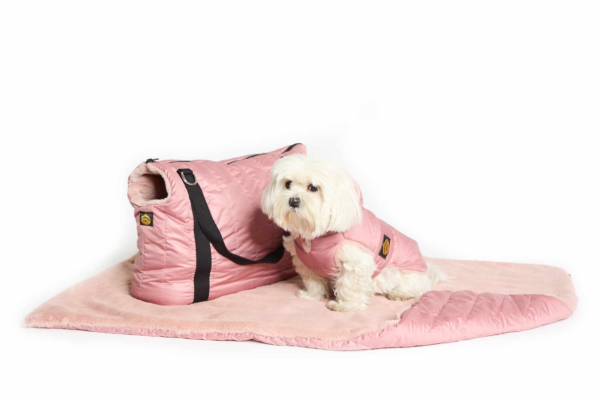 Borsa Trasportino  - Fashion Dog