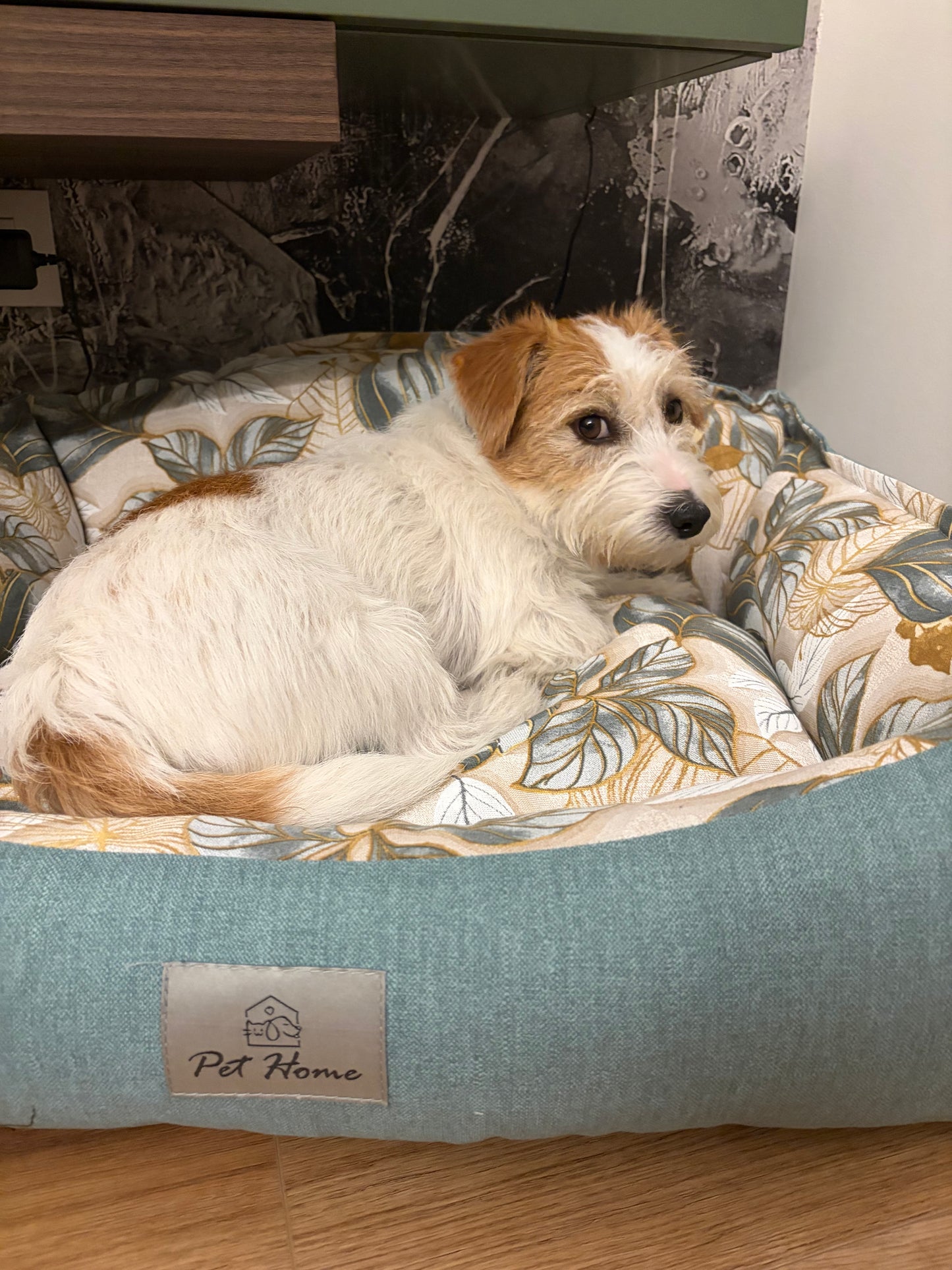 Cuccia Sfoderabile "Gaia" - Pet Home (Anteprima)
