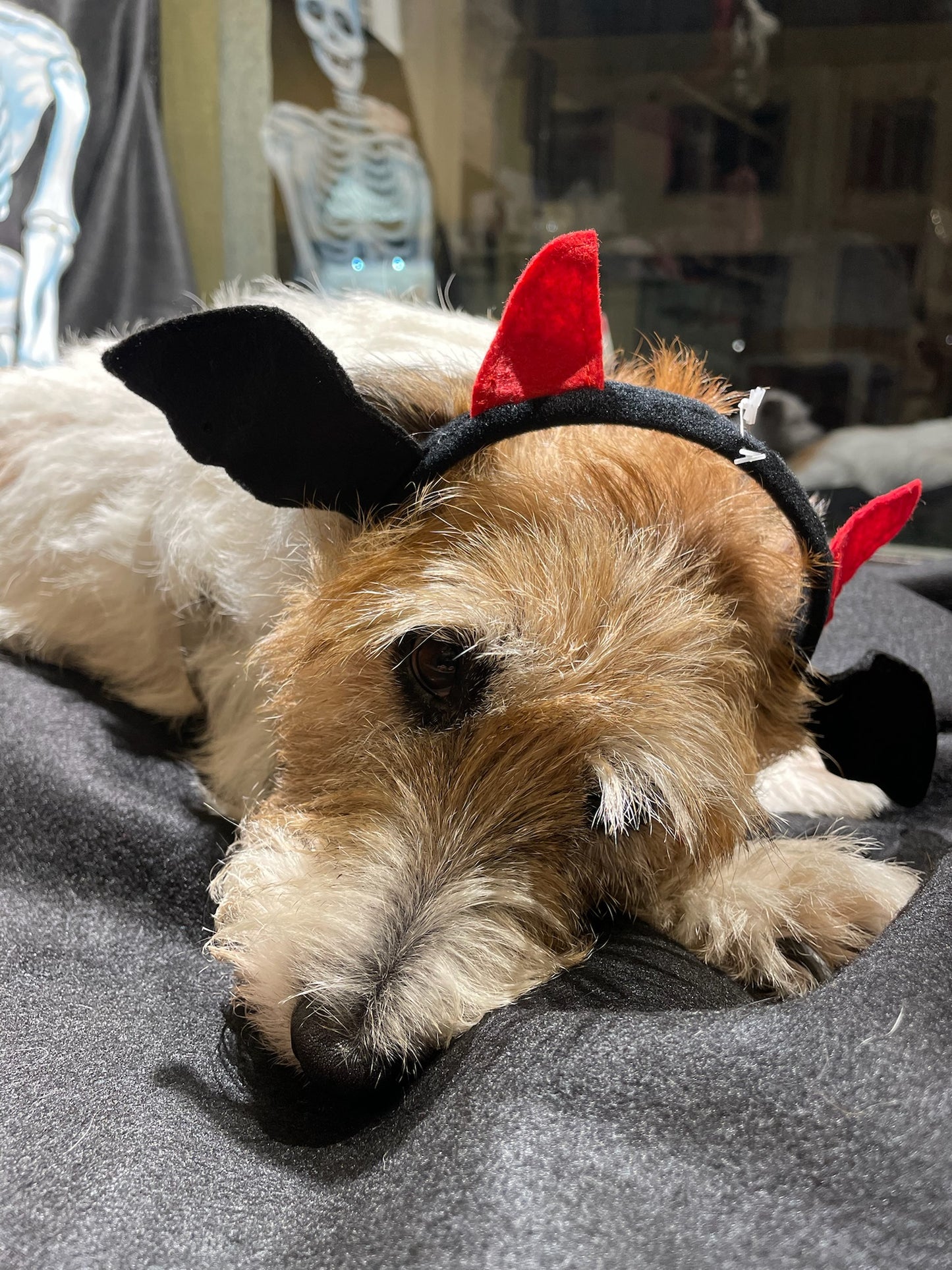 Cerchietto Diavoletto - Ferribiella