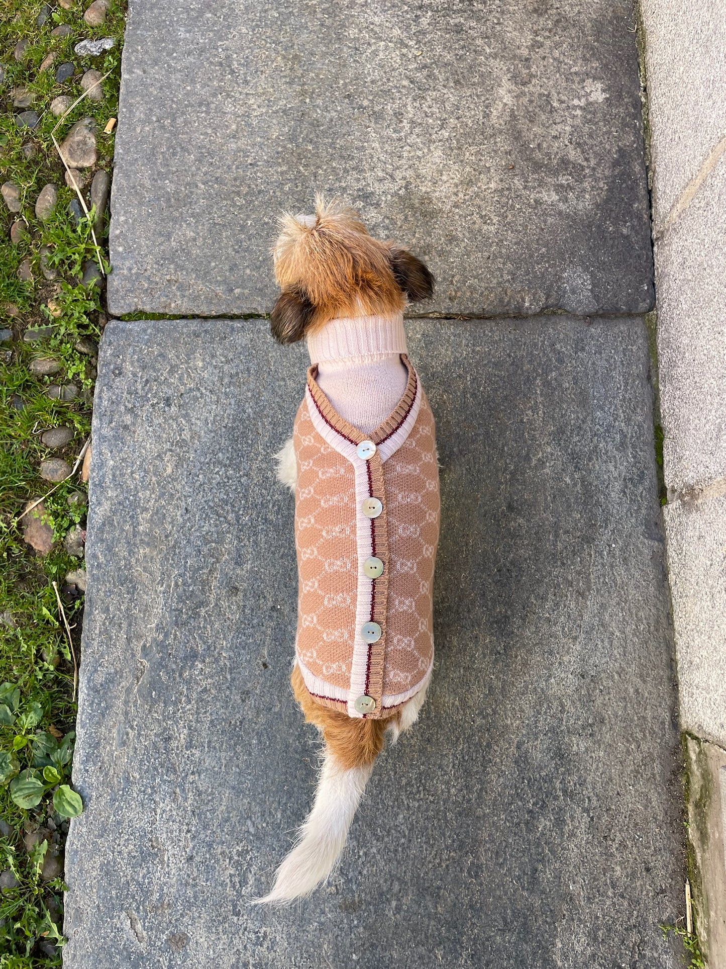 Maglioncino "Gìgì Cardigan GG" - My Dog
