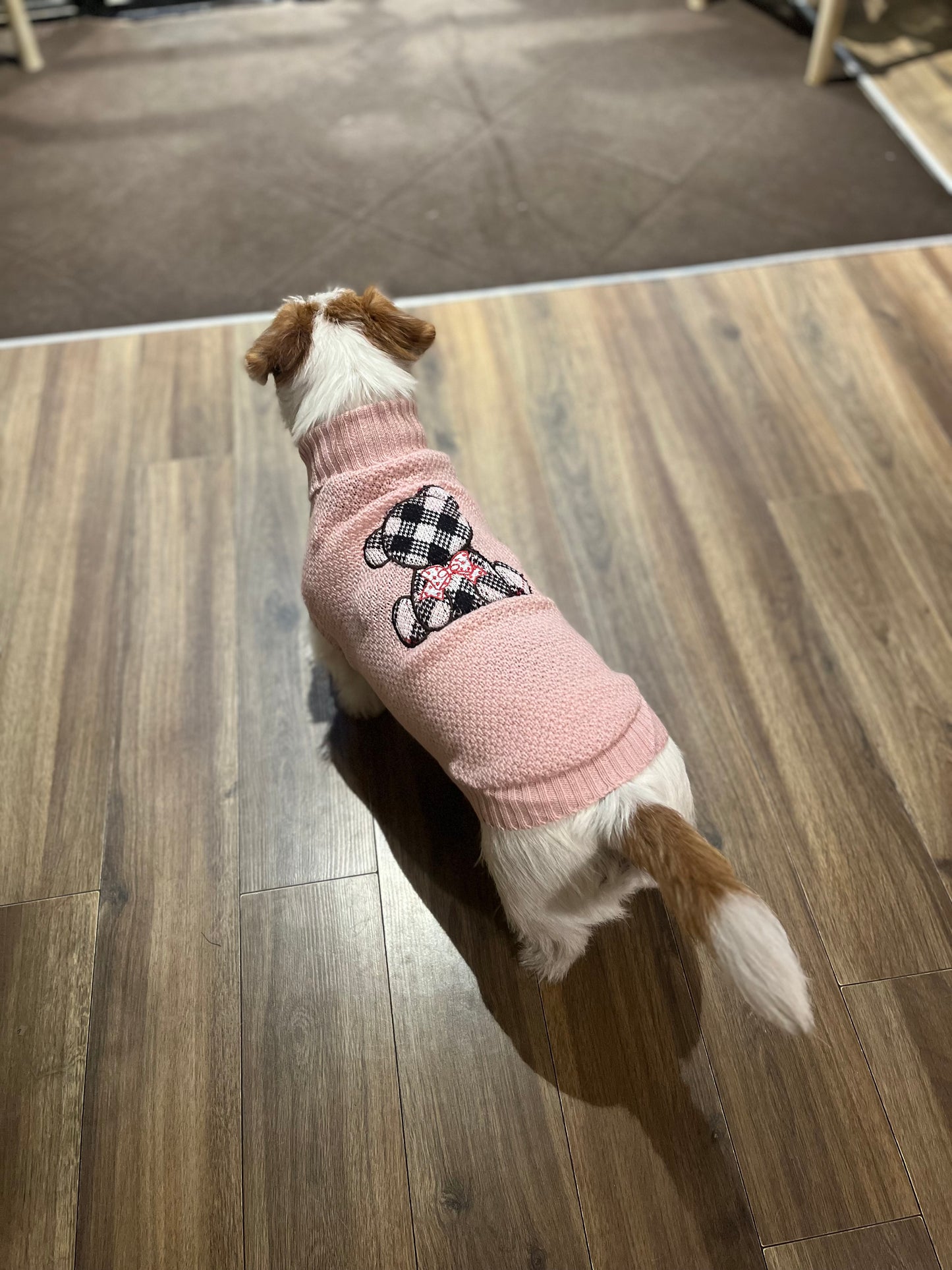 Maglioncino Granariso "Teddy" - My Dog