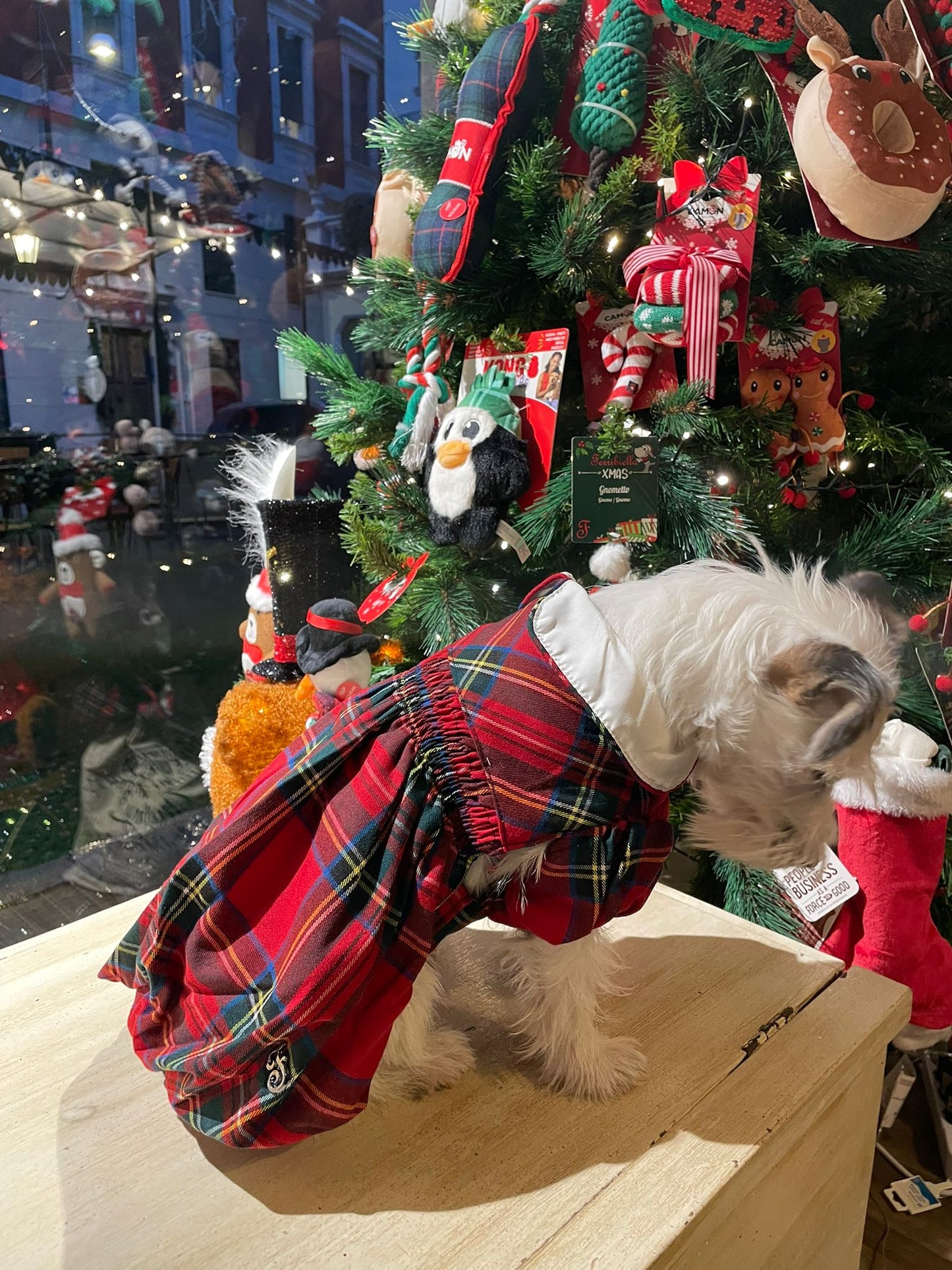 Cappotto ''Miss Charlotte'' - Ferribiella