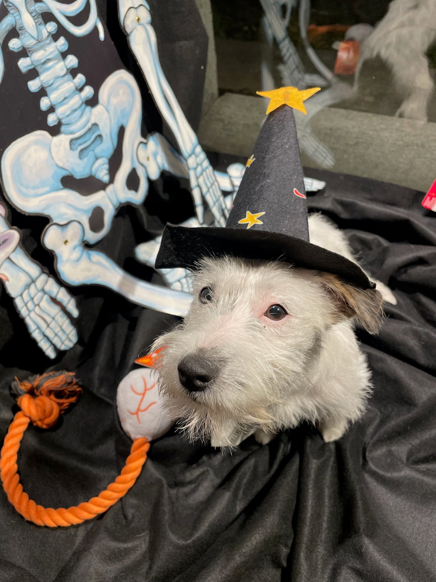 Cappello Strega - Ferribiella