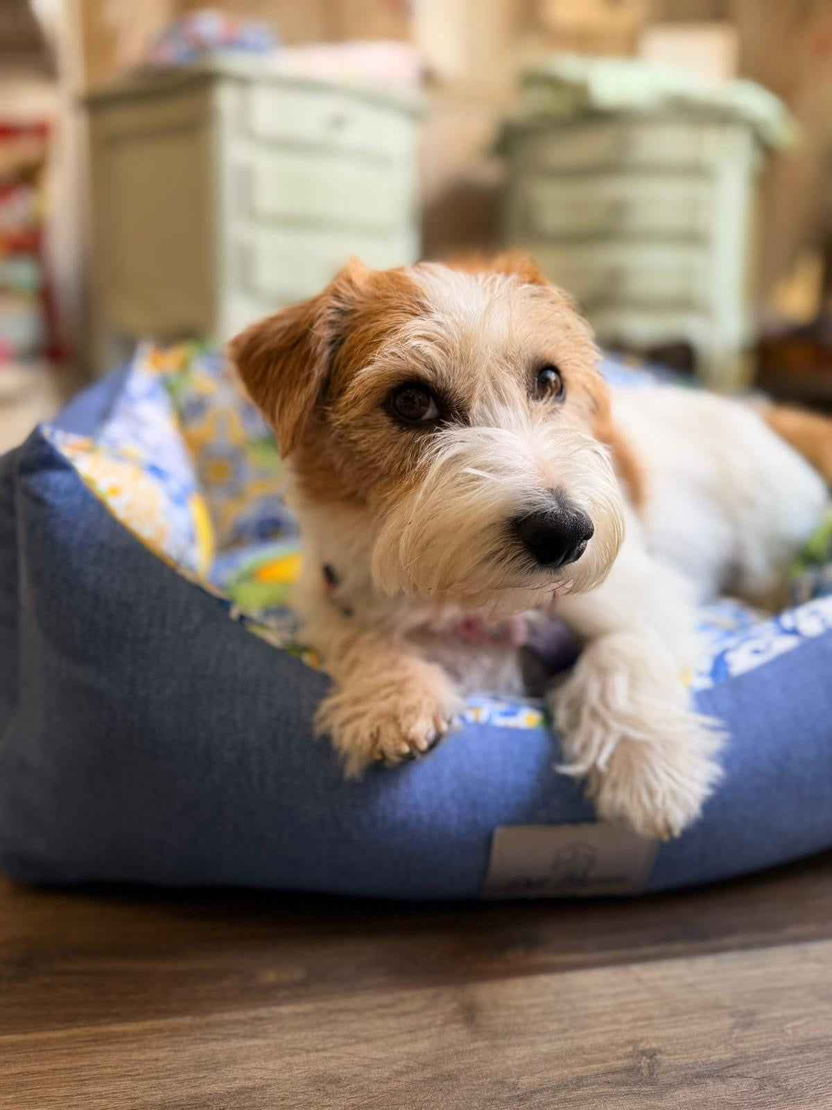 Cuccia Sfoderabile "Gaia" - Pet Home (Anteprima)