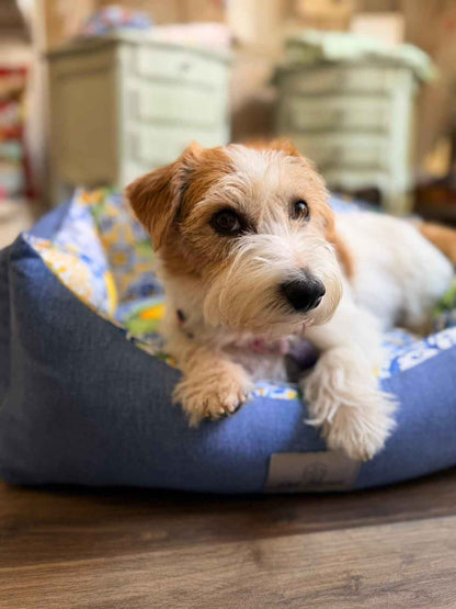 Cuccia Sfoderabile "Gaia" - Pet Home (Anteprima)