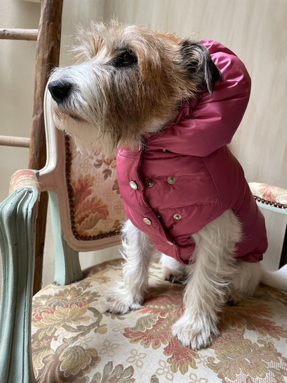 Piumino "Kapsula Superlight Puffer NEW" - I Love My Dog