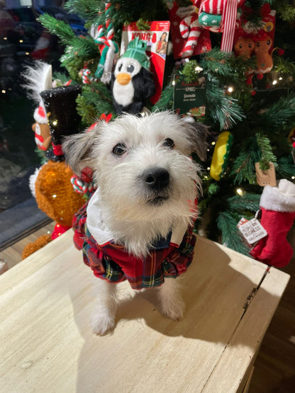 Cappotto ''Miss Charlotte'' - Ferribiella