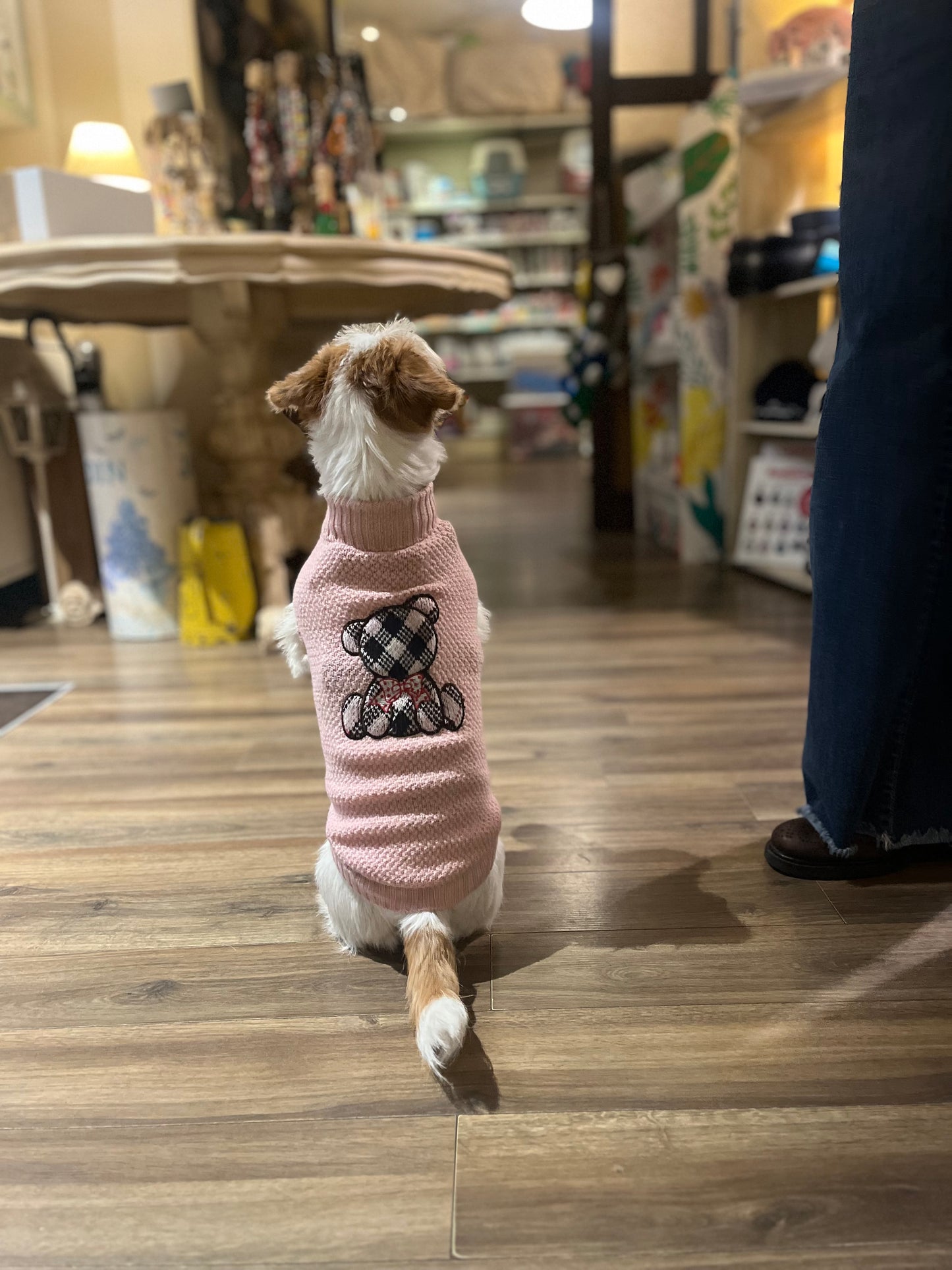 Maglioncino Granariso "Teddy" - My Dog