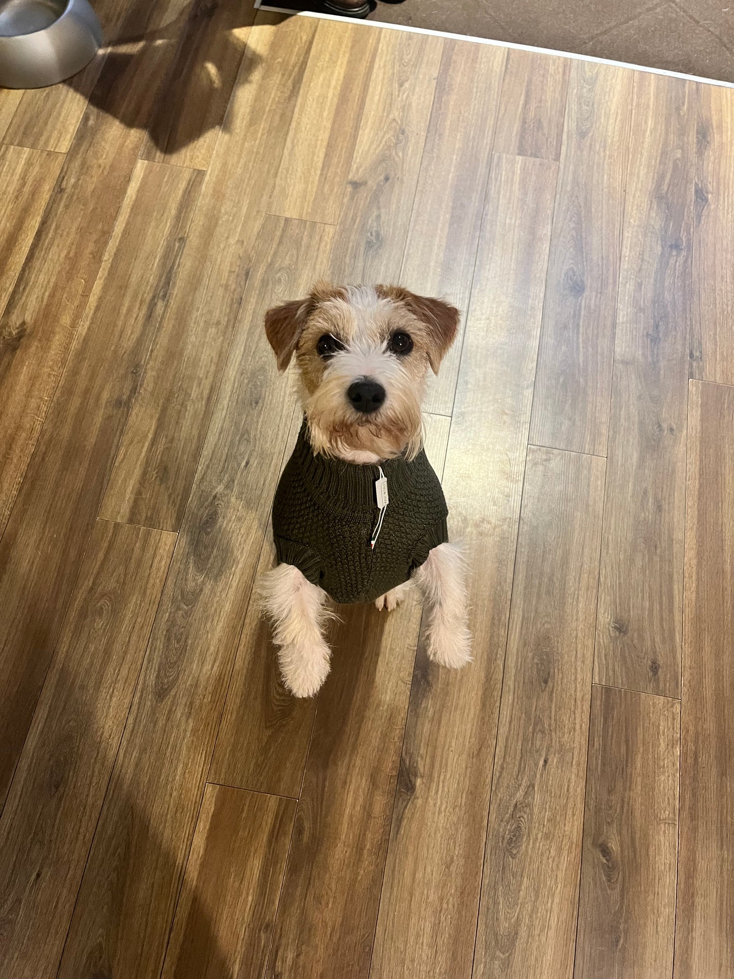 Maglioncino Granariso "Teddy" - My Dog