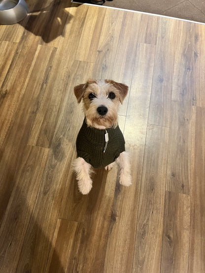 Maglioncino Granariso "Teddy" - My Dog