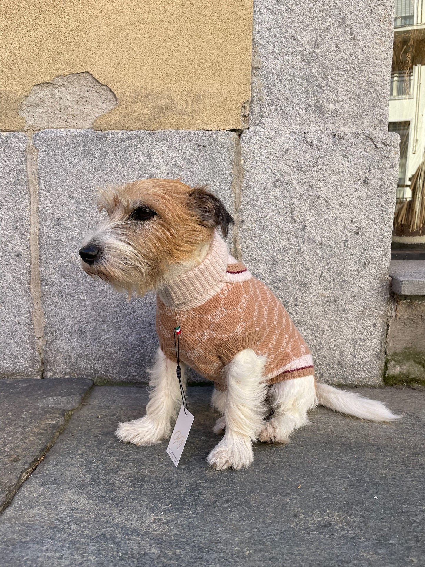 Maglioncino "Gìgì Cardigan GG" - My Dog