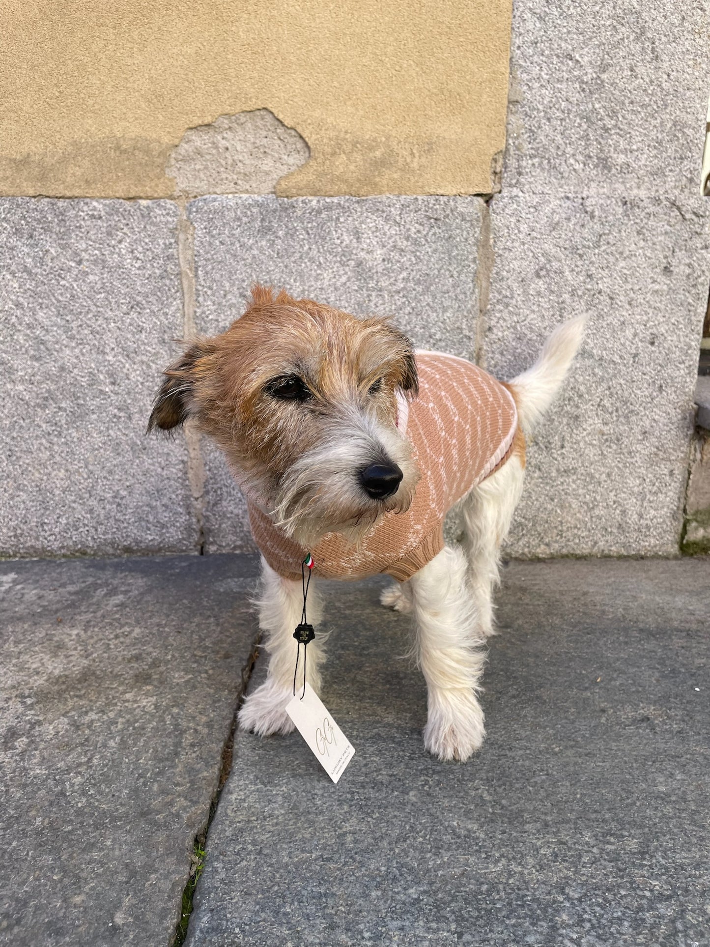 Maglioncino "Gìgì Cardigan GG" - My Dog
