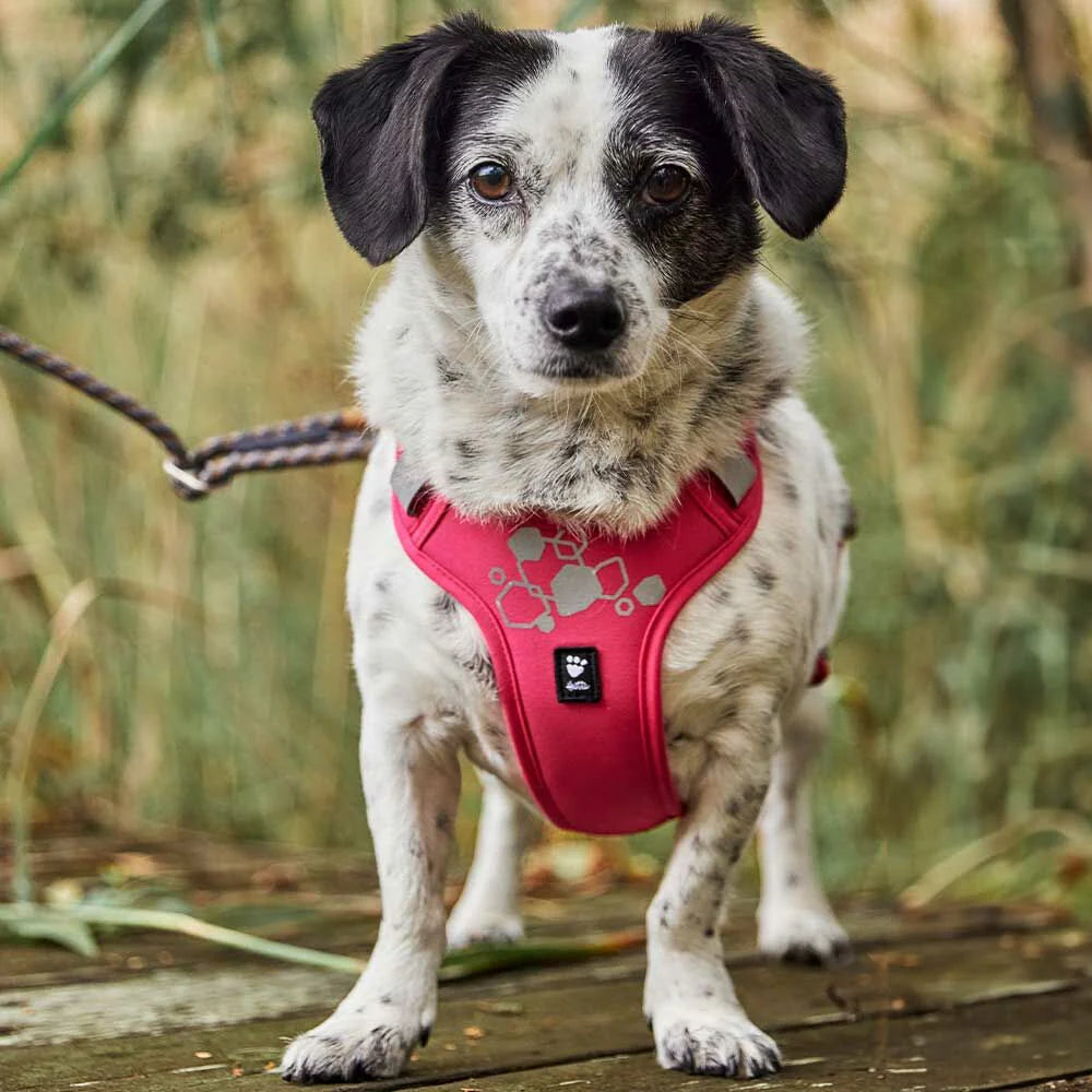 Pettorina ''Weekend Warrior 2 Eco'" - Hurtta