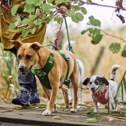 Pettorina ''Weekend Warrior 2 Eco'" - Hurtta