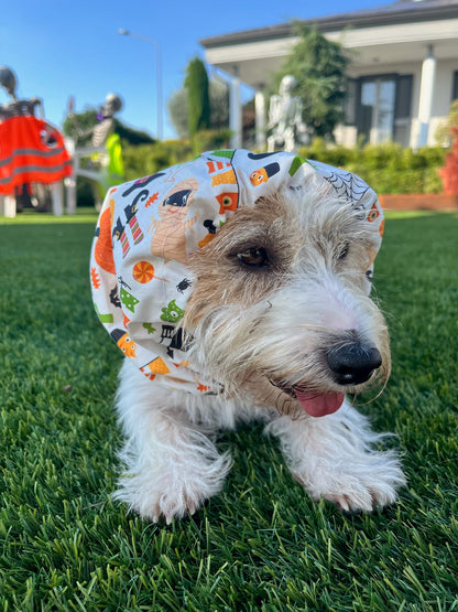 Paraorecchie Halloween - Da Tommy Pet Boutique