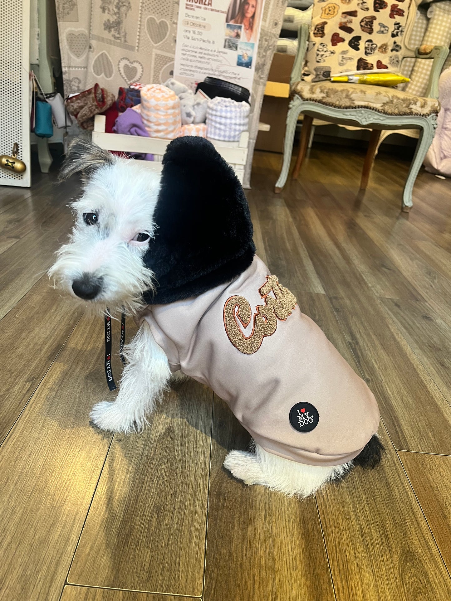 Felpa “Winter Vibes” - I Love My Dog