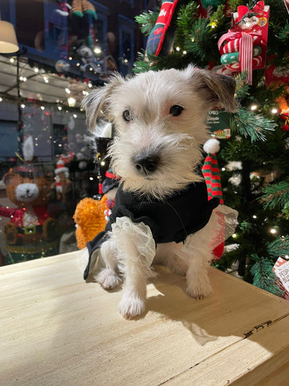 Maglioncino "Luna" - Ferribiella