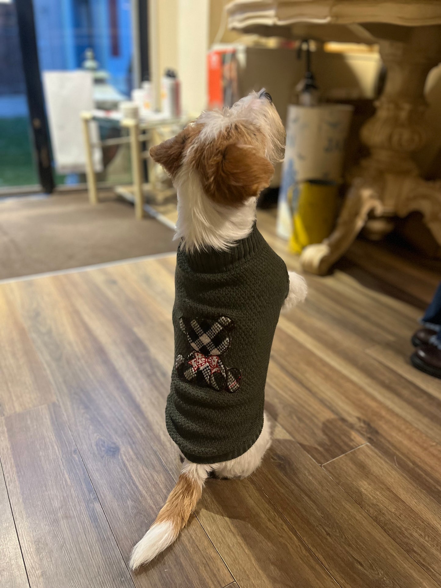 Maglioncino Granariso "Teddy" - My Dog