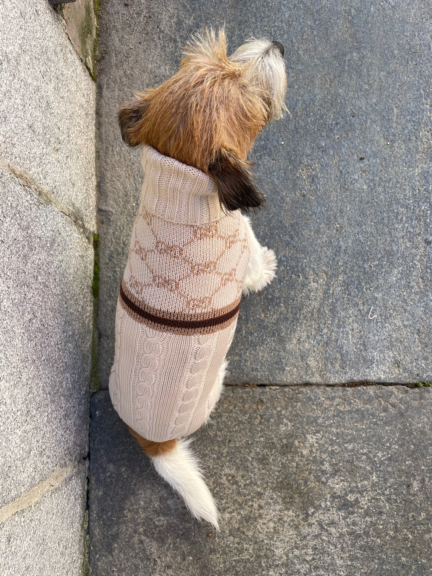 Maglioncino "Infinity Trecce e Coste 2" - My Dog