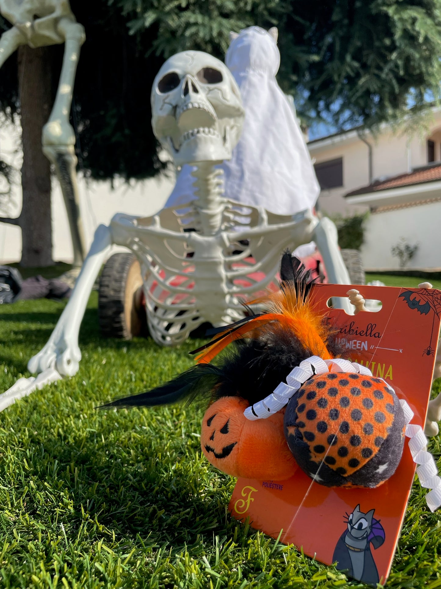 Gioco per Gatti Zucca con pallina Halloween  - Ferribiella
