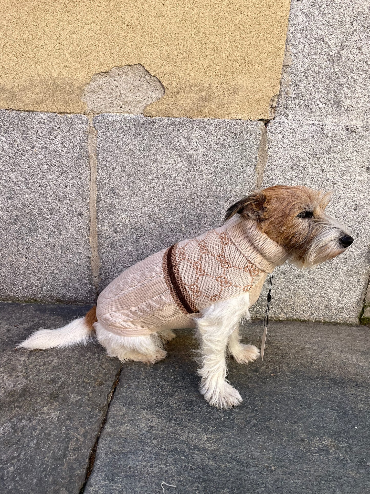 Maglioncino "Infinity Trecce e Coste 2" - My Dog