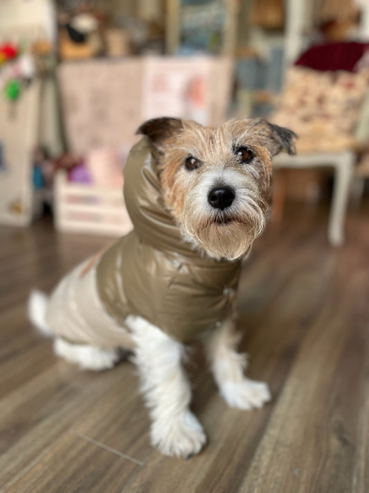 Piumino "Bicolor Winter Puffer" - I Love My Dog