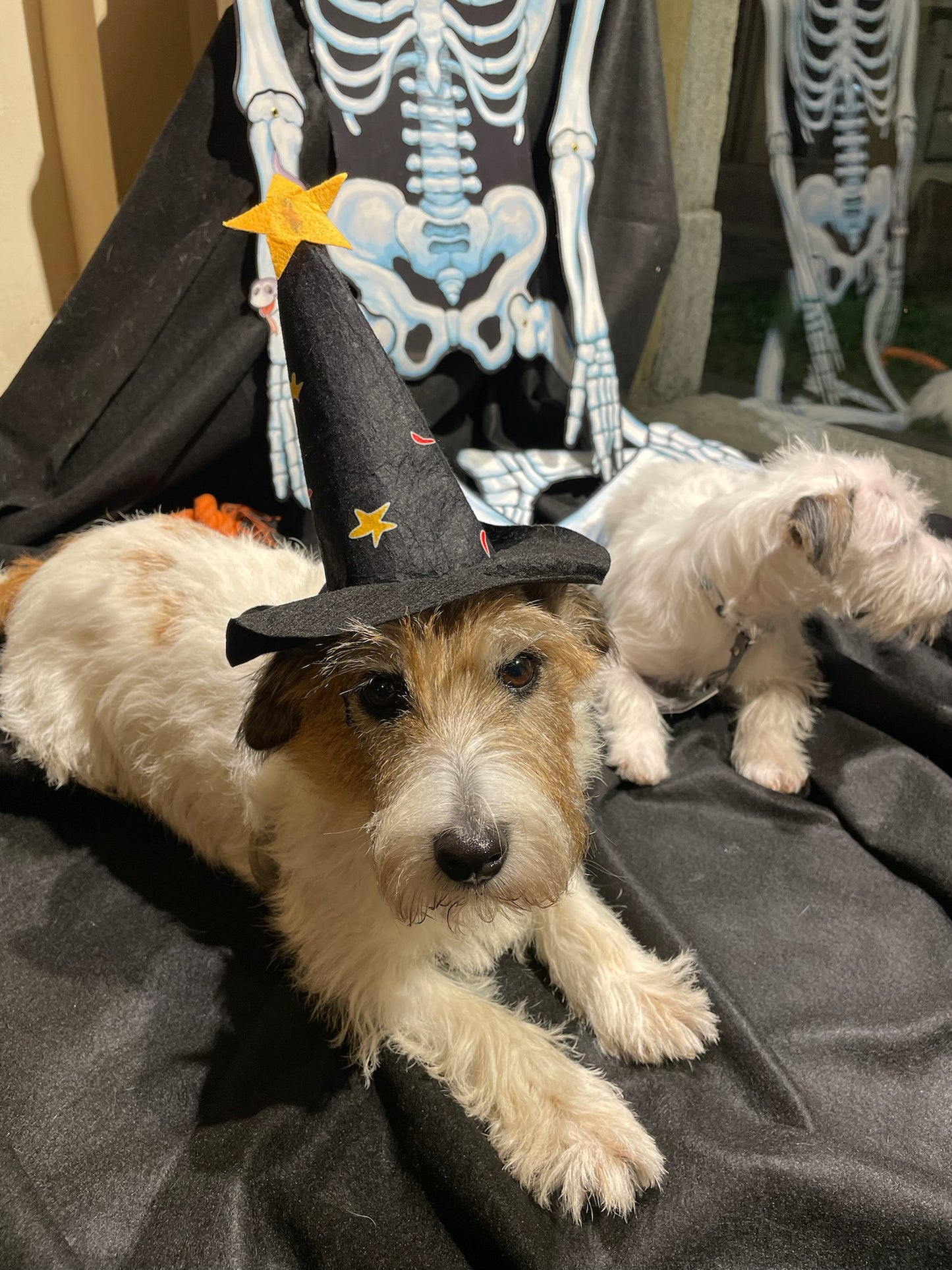 Cappello Strega - Ferribiella