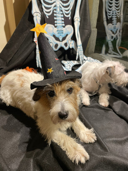 Cappello Strega - Ferribiella