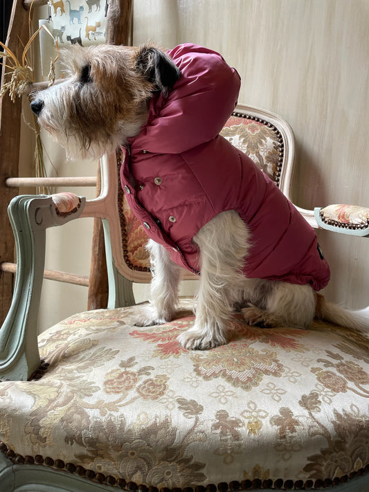 Piumino "Kapsula Superlight Puffer NEW" - I Love My Dog
