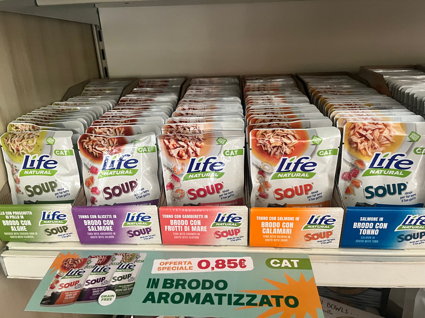 Buste "Soup" Gatto - Life Cat