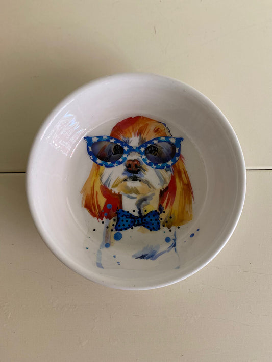 Ciotola_con_disegno_stilizzato_e_colorato_di_cane_modello_Cavalier