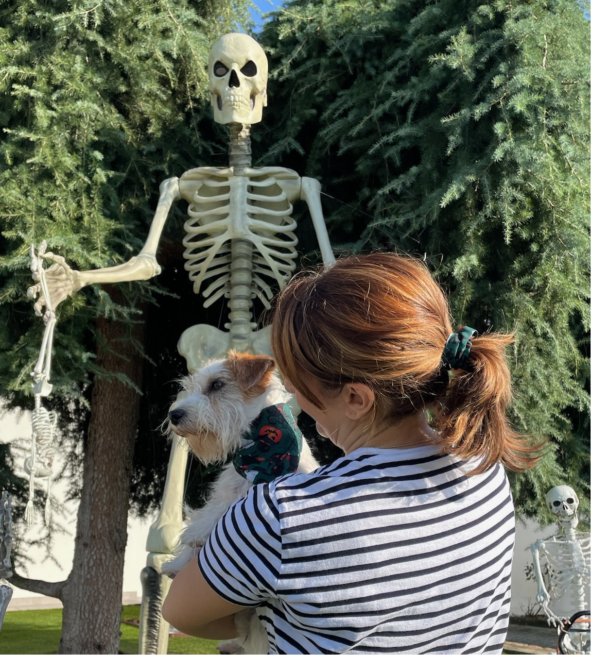 Scrunchy Elastico Halloween - Da Tommy Pet Boutique