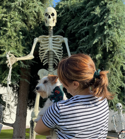 Scrunchy Elastico Halloween - Da Tommy Pet Boutique
