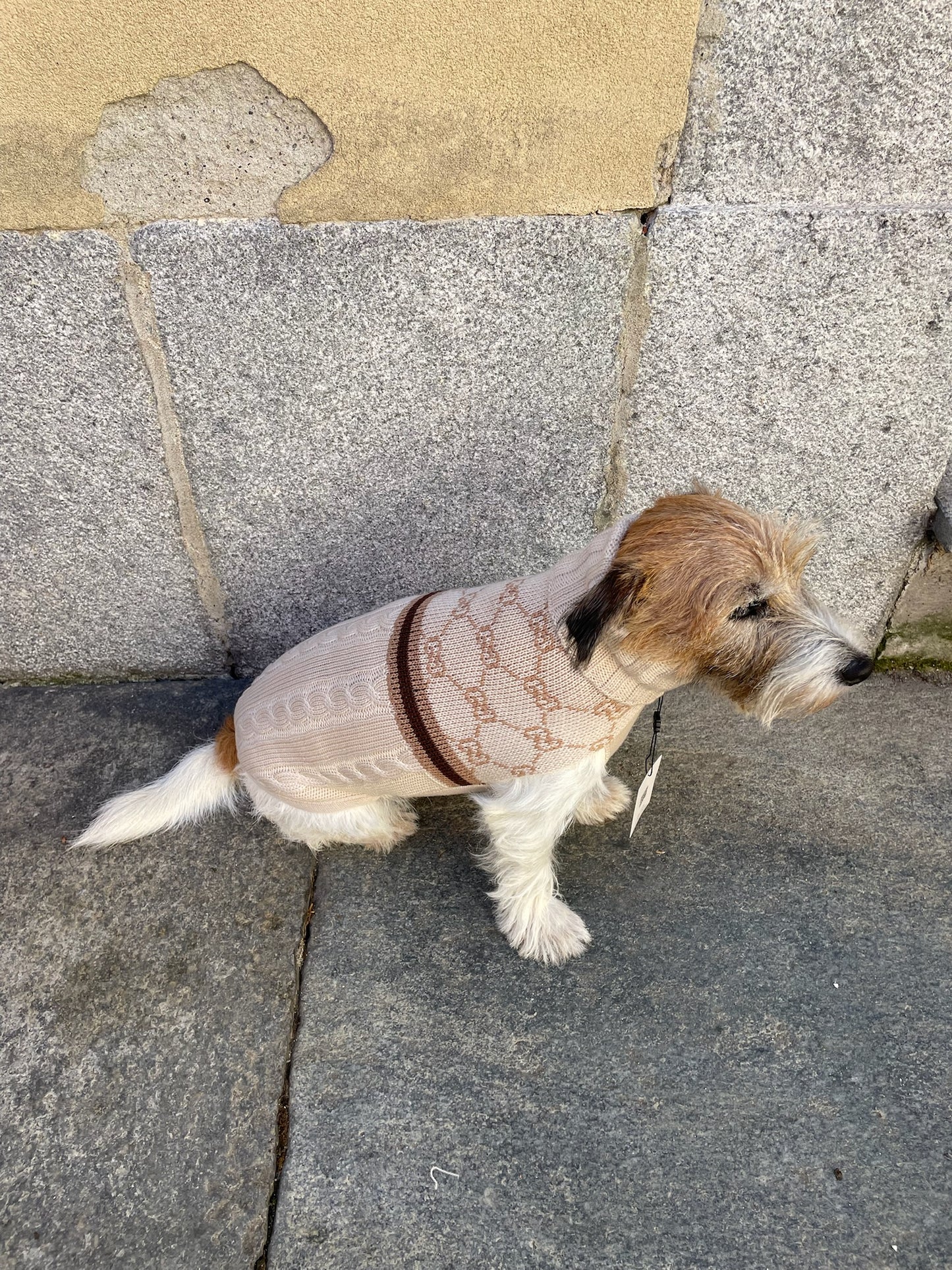 Maglioncino "Infinity Trecce e Coste 2" - My Dog