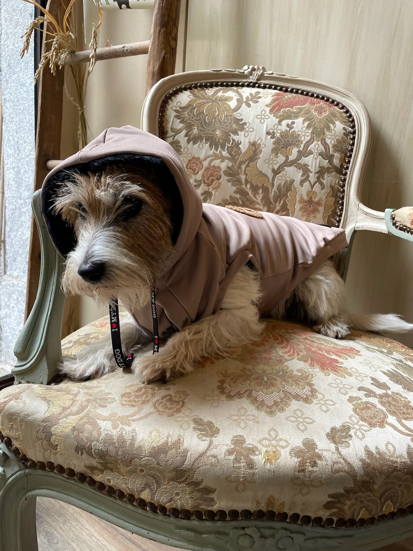 Felpa “Winter Vibes” - I Love My Dog