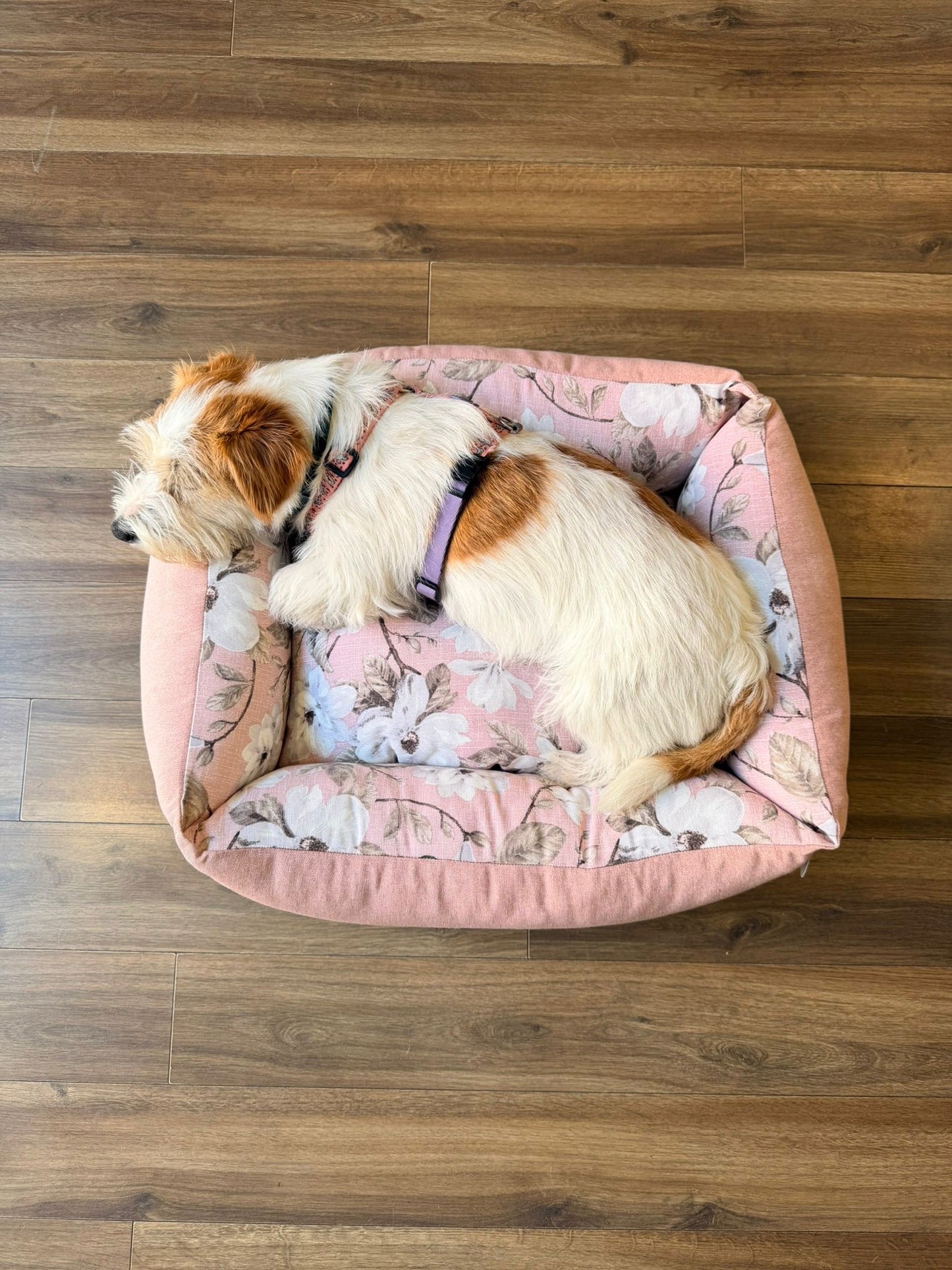 Cuccia Divanetto "Leonardo" bicolor - Pet Home (Anteprima)